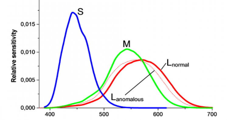 Colorlite Relative sensibility