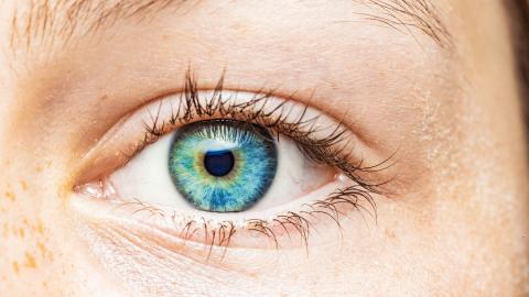 Auge mit blauer Iris